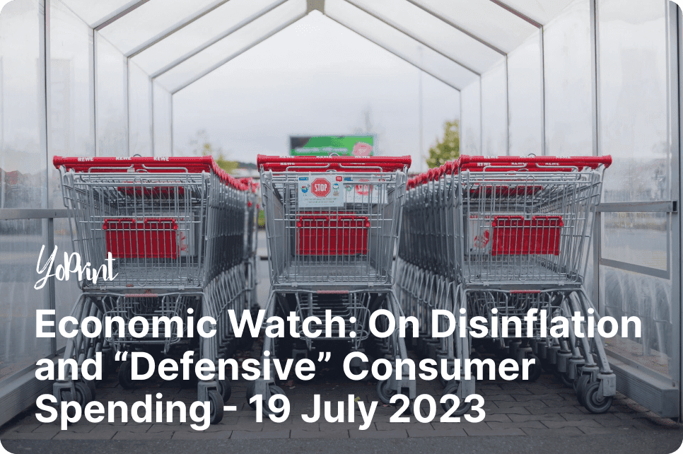 Economic Watch: On Disinflation and “Defensive” Consumer Spending – 19 July 2023